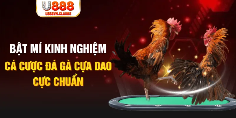 jun888 casino hồ tràm có cho người việt vào không