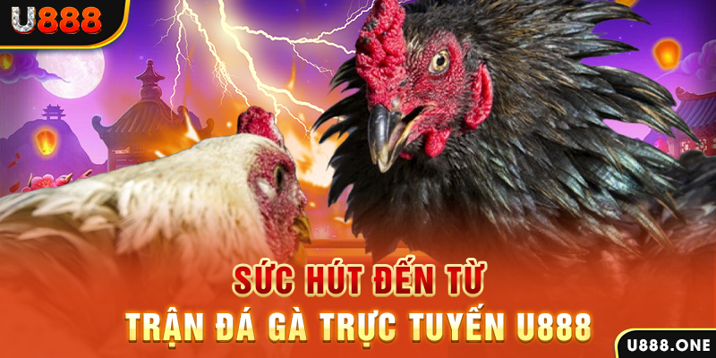 jun888 đăng nhập poker 2024
