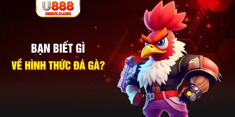 jun888 đăng nhập liêng tặng tiền