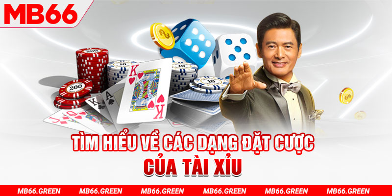 jun888 what is a casino loyalty program