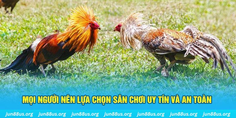 jun888 đăng nhập poker 2025