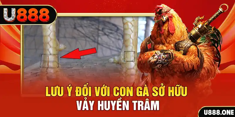 jun888 tải game đánh bài tiến lên miền nam về máy tính