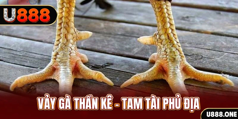 jun888 so xo mien trung