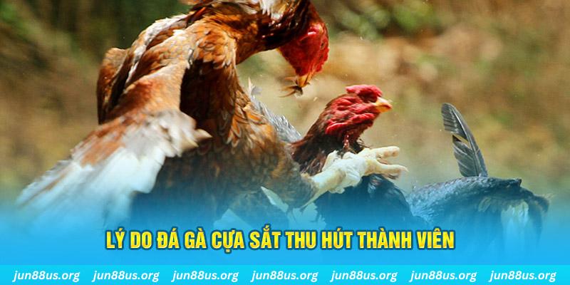 jun888 nổ hũ ăn bao nhiêu