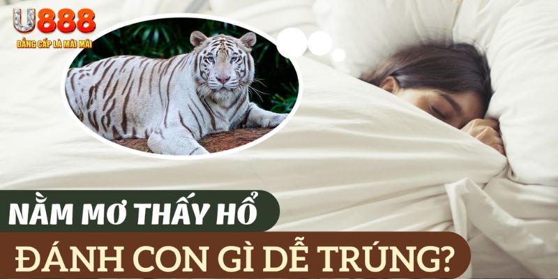 jun888 nohu .mx nổ hủ là gì