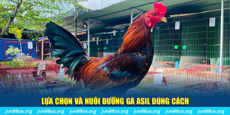 jun888 nổ hũ thần tài là gì
