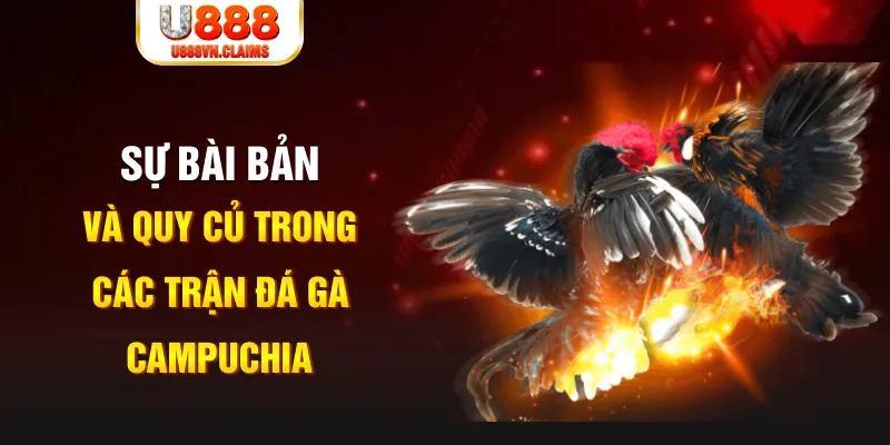 jun888 game xếp bài trên máy tính