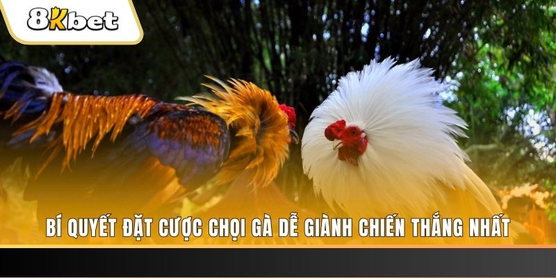 jun888 nổ hũ chơi như thế nào