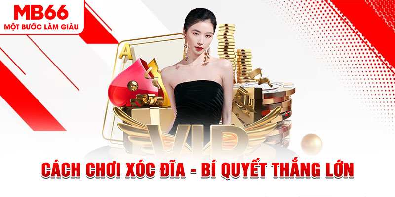 Đĩa màu ace