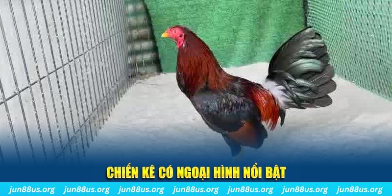jun888 qq88 bắn cá