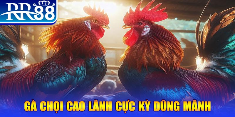 jun888 đăng nhập poker live